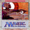 Magic_The_Gathering-Front.jpg (256869 octets)